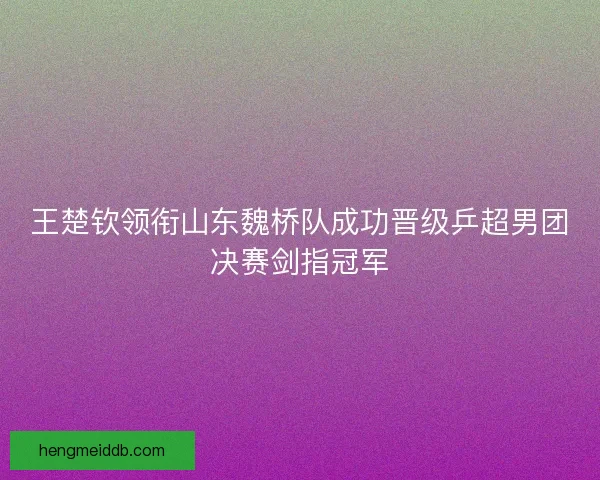 王楚钦领衔山东魏桥队成功晋级乒超男团决赛剑指冠军